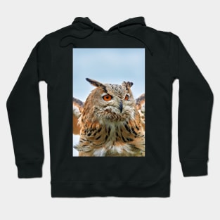 Eurasian Eagle Owl Hoodie